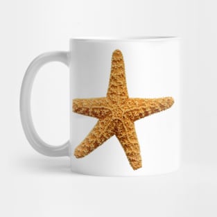 Starfish Mug